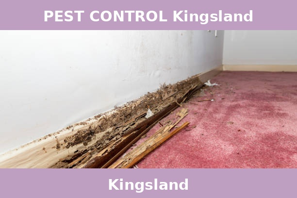 PEST CONTROL Kingsland